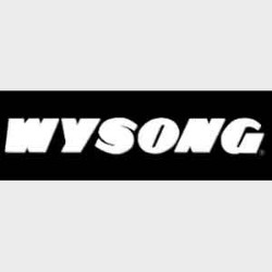 Wysong-Logo